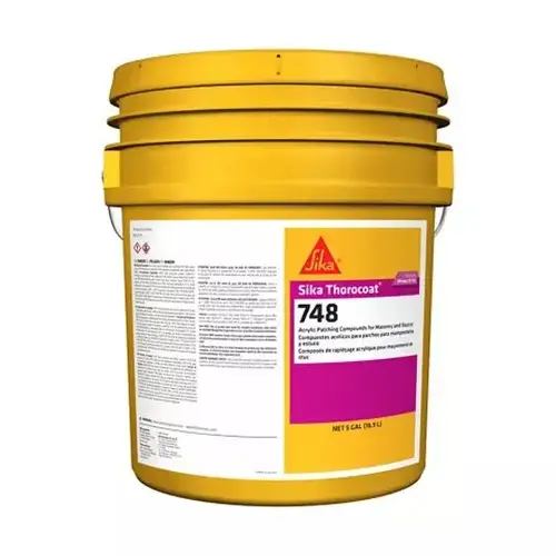 Thorocoat 748 Acrylic Patching Compound - 5 Gallon Pail Thorocoat 748 Acrylic Patching Compound - 5 Gallon Pail