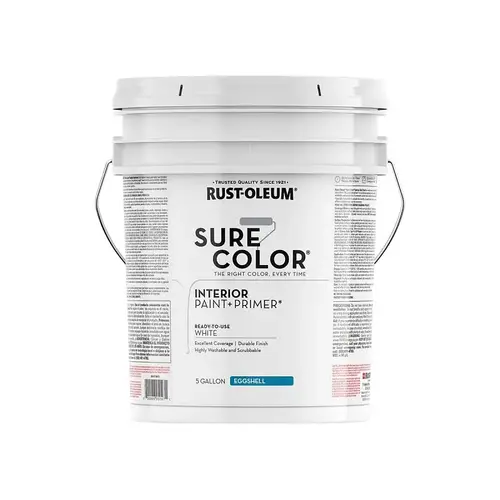 PAINT & PRIMER EGSHL WHITE 5GA PAINT & PRIMER EGSHL WHITE 5GA