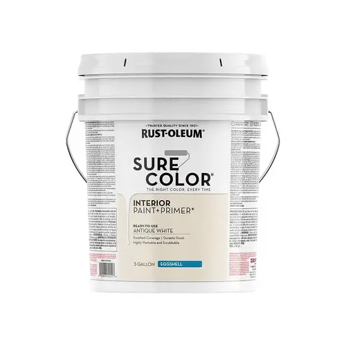 PAINT&PRIMER EGSHL ANT WHT 5GA PAINT&PRIMER EGSHL ANT WHT 5GA