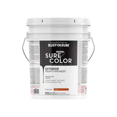 PAINT & PRIMER EXT FLAT WHT 5G PAINT & PRIMER EXT FLAT WHT 5G