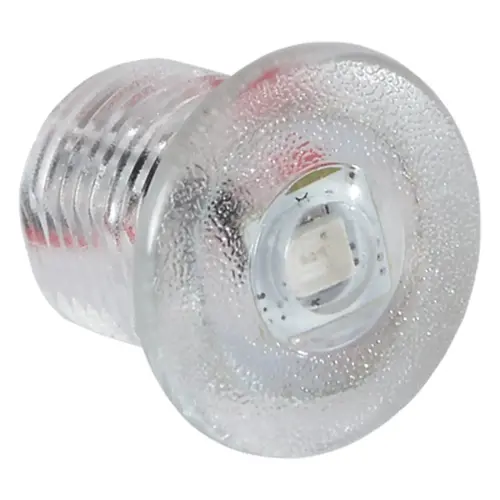 Warm White Newt Livewell Light Warm White Newt Livewell Light