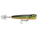 Green Mullet