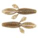 Bloodworm