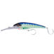 Spanish Mackerel