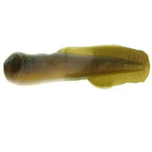 Gulp! Saltwater Eel Gulp! Saltwater Eel