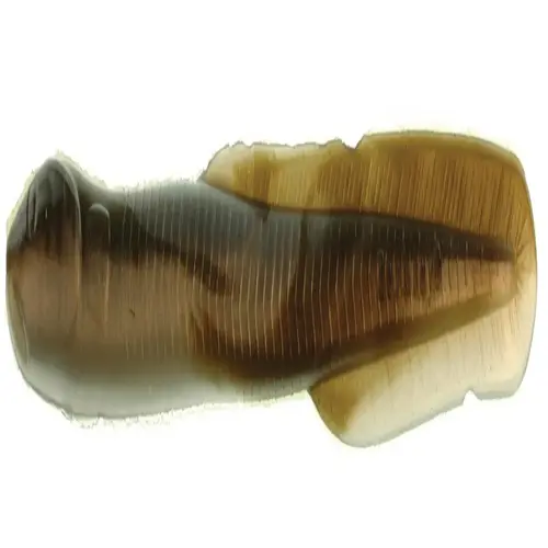 Gulp! Alive! Saltwater Eel Silver Mud Gulp! Alive! Saltwater Eel Silver Mud