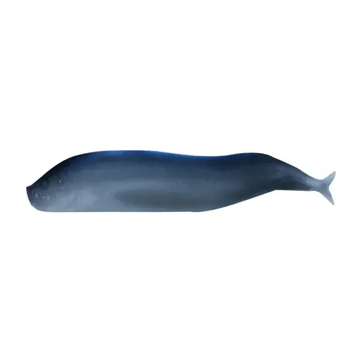 Gulp! Saltwater Sand Eel Silver Mud Gulp! Saltwater Sand Eel Silver Mud