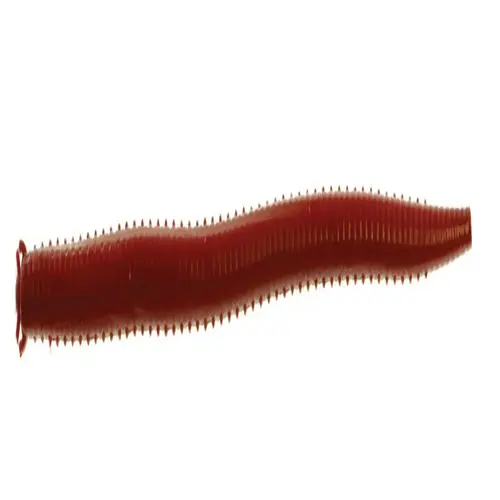 Gulp! Alive! Saltwater Bloodworm Bloody Gulp! Alive! Saltwater Bloodworm Bloody