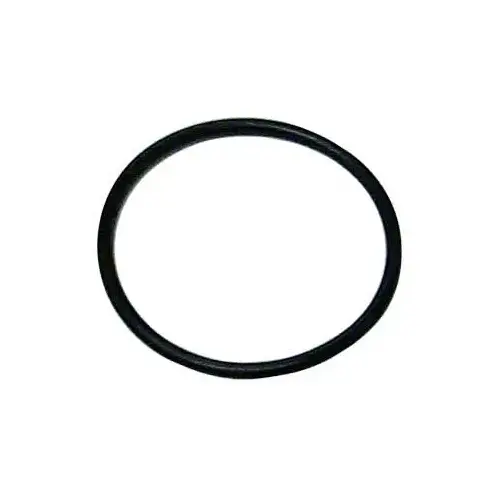 18-7110 Cylinder Head O-Ring for Johnson/Evinrude Outboards, 12-Pack 18-7110 Cylinder Head O-Ring for Johnson/Evinrude Outboards, 12-Pack