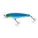 Holographic Sardine