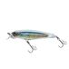 Holographic Ghost Shad