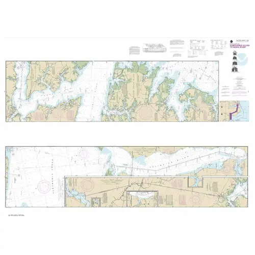 #11553 Albermarle Sound to Neuse River Alligator #11553 Albermarle Sound to Neuse River Alligator