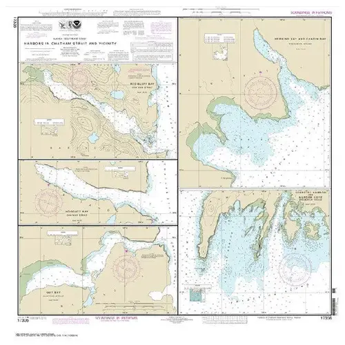 #17336 Chatham Strait Gut Bay #17336 Chatham Strait Gut Bay