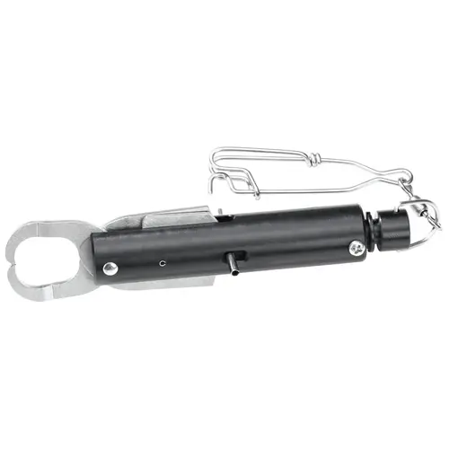Pressure Activated Descending Tool Pressure Activated Descending Tool