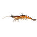 Brown Shrimp