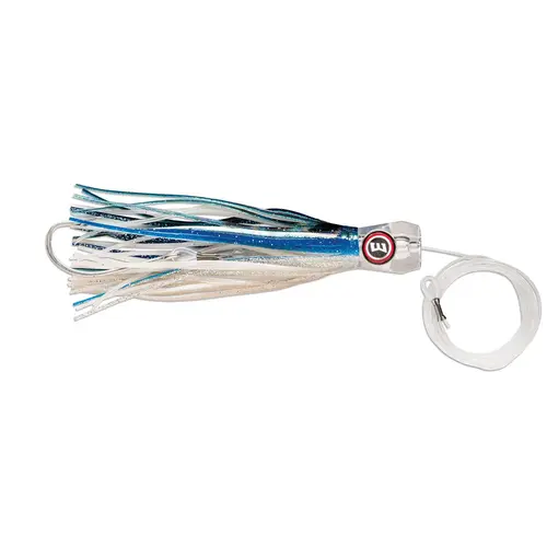 Sailfish Catchers Skipjack Sailfish Catchers Skipjack