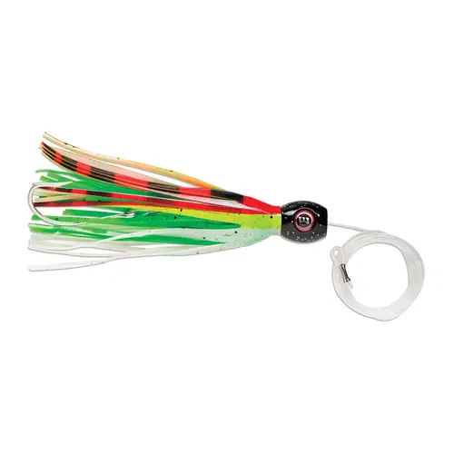High Speed Sailfish Catchers Rasta High Speed Sailfish Catchers Rasta