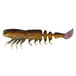 Brown Shrimp