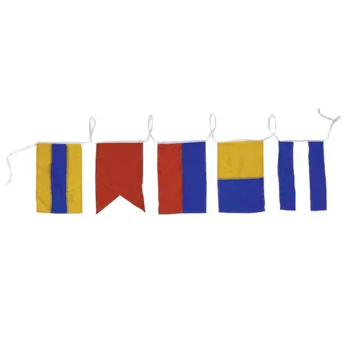 Decorative Strand of Code Flag Decorative Strand of Code Flag