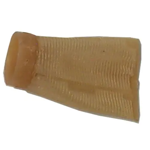 18-7826 Fuel Filter for Johnson/Evinrude Outboard Motors 18-7826 Fuel Filter for Johnson/Evinrude Outboard Motors