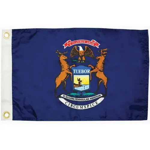 Michigan State Flag, 12" x 18" Michigan State Flag, 12" x 18"