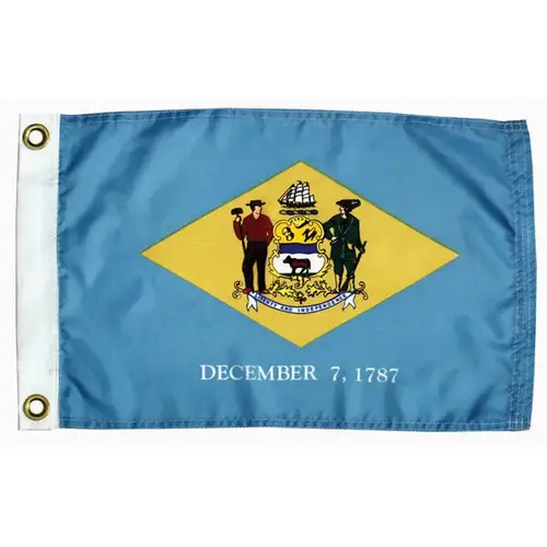 Delaware State Flag, 12" x 18" Delaware State Flag, 12" x 18"