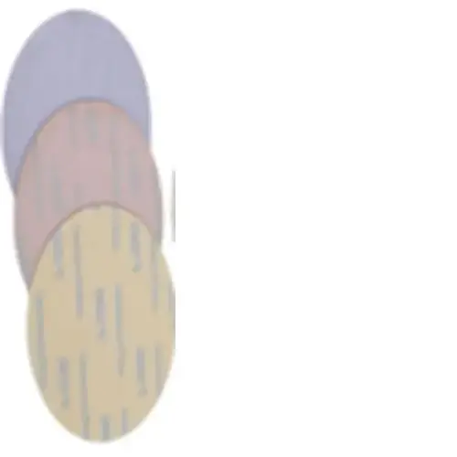120G 6" NO-HOLE GRIP PURPLE CERAMIC FILM DISCS (50 pcs per box) 120G 6" NO-HOLE GRIP PURPLE CERAMIC FILM DISCS (50 pcs per box)