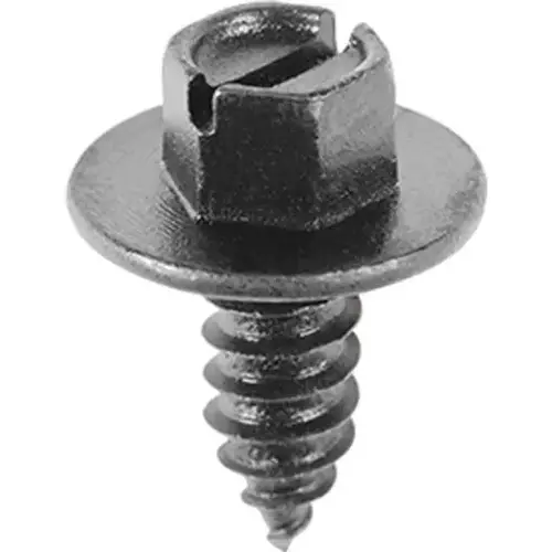 (4) LICENSE PLATE SCREW (4) LICENSE PLATE SCREW