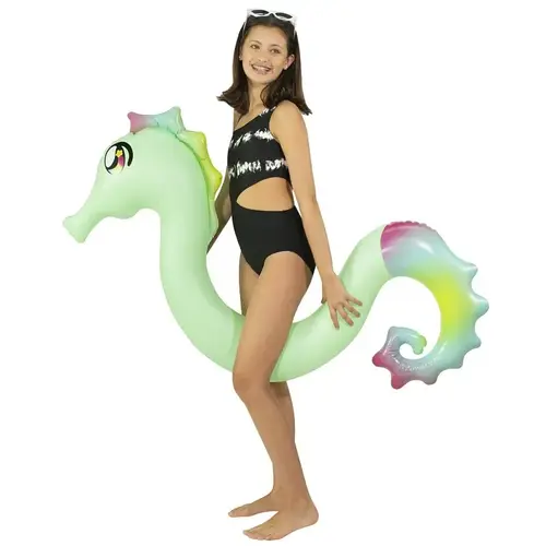 PoolCandy Ride-On Pool Noodle, Seahorse, PVC, Multi-Color PoolCandy Ride-On Pool Noodle, Seahorse, PVC, Multi-Color