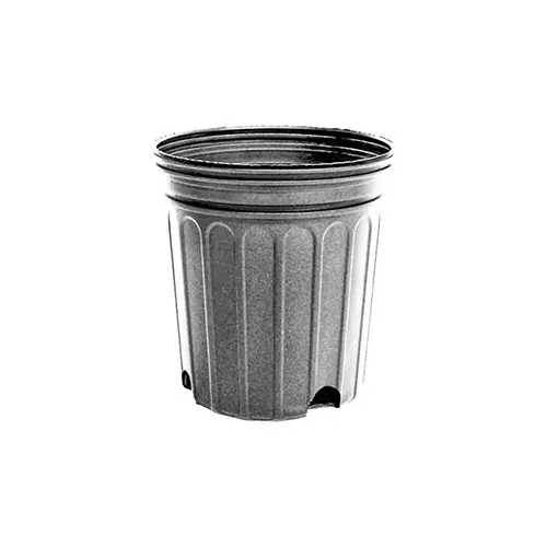 Blow Molded Custom #1 Container - 0.71 gal - pack of 84 Blow Molded Custom #1 Container - 0.71 gal - pack of 84