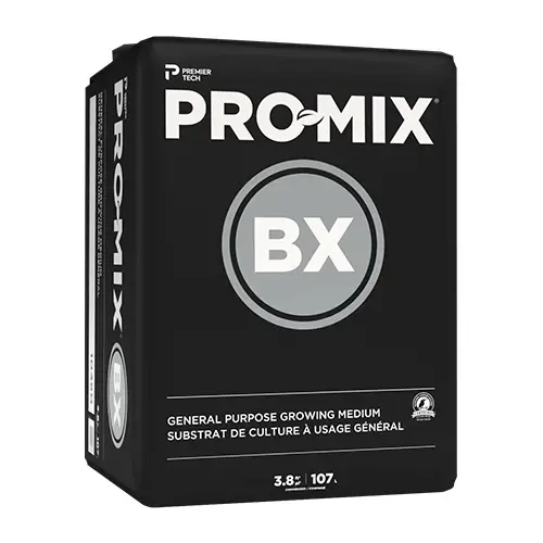 BX - 3.8 cf BX - 3.8 cf