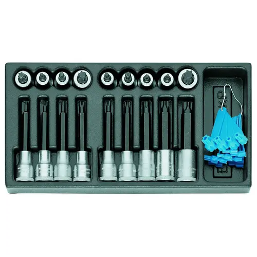 1500 ES-ITX 19 LKP Set screwdriver inserts 1/2" in 1/3 ES module 1500 ES-ITX 19 LKP Set screwdriver inserts 1/2" in 1/3 ES module