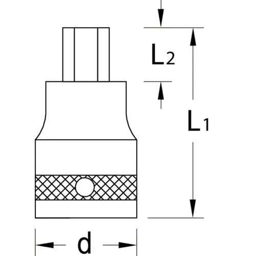 ITX 19 B T25 Screwdriver bit socket socket 1/2" TX Pin T25 ITX 19 B T25 Screwdriver bit socket socket 1/2" TX Pin T25
