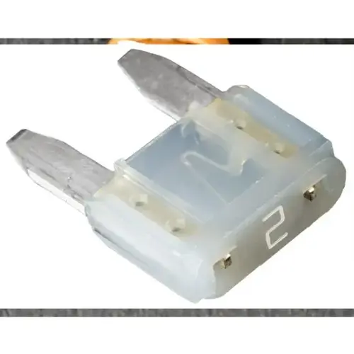 MINI FUSE - 2 AMPS MINI FUSE - 2 AMPS