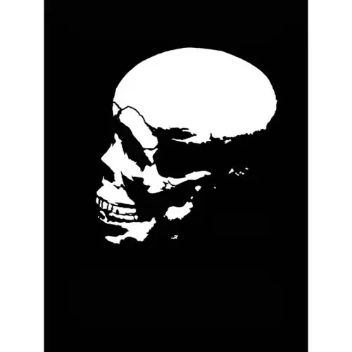 Dan-Am Pro Skull Stencils Skull Pack 7 Dan-Am Pro Skull Stencils Skull Pack 7