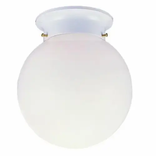 CEILING LIGHT FIXTURE 1-LT PB CEILING LIGHT FIXTURE 1-LT PB
