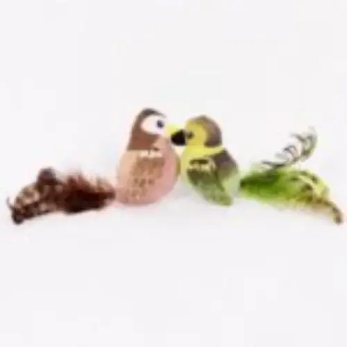 Cat Toy, Bird Design, Pack of 2 Cat Toy, Bird Design, Pack of 2