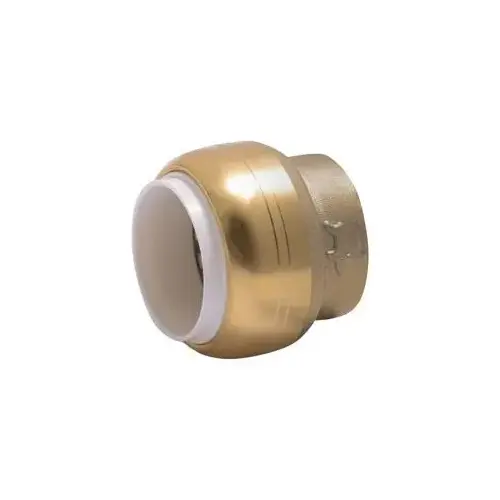 Lead-Free 1/2" IPS PVC Push-to-Connect Cap Lead-Free 1/2" IPS PVC Push-to-Connect Cap