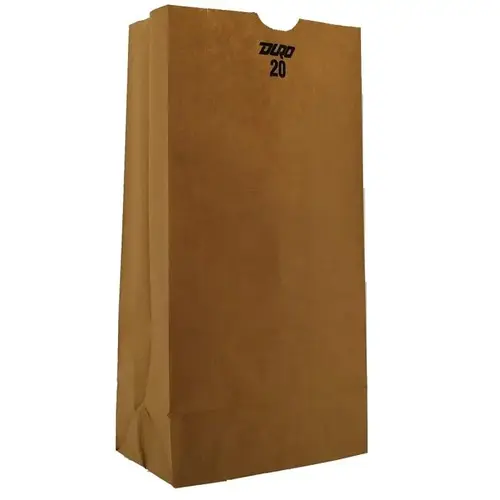 20 lb Capacity Natural Kraft Flat Bottom Paper Bag, Pack of 500 20 lb Capacity Natural Kraft Flat Bottom Paper Bag, Pack of 500