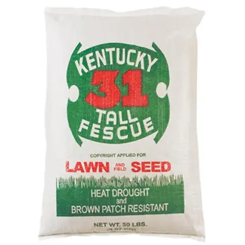 25 LB KY 31 TALL FESCUE GRASS SEED 25 LB KY 31 TALL FESCUE GRASS SEED