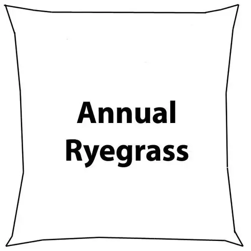 50 LB ANNUAL RYE GRASS SEED 50 LB ANNUAL RYE GRASS SEED