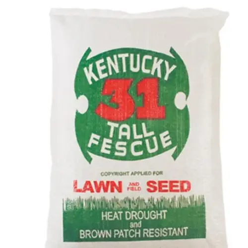 5 LB KY 31 TALL FESCUE GRASS SEED 5 LB KY 31 TALL FESCUE GRASS SEED