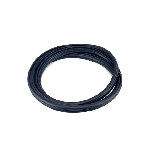 Door Seal on Body Front for a Ford Expedition Door Seal on Body Front for a Ford Expedition