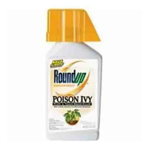 ROUNDUP POISON IVY BRUSH KILLER QT ROUNDUP POISON IVY BRUSH KILLER QT