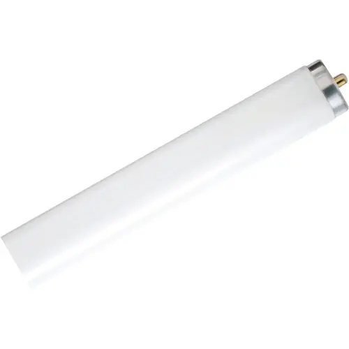 59W 96 In. Daylight T8 Single Pin Fluorescent Tube Light Bulb 59W 96 In. Daylight T8 Single Pin Fluorescent Tube Light Bulb