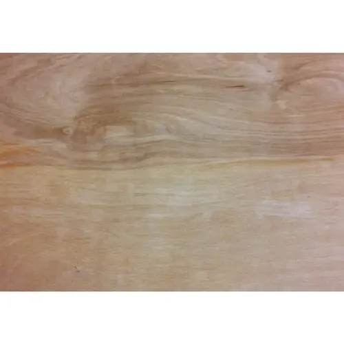 1/2 In. x 24 In. x 48 In. Birch Plywood 1/2 In. x 24 In. x 48 In. Birch Plywood