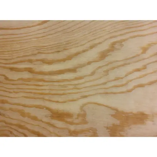 1/2 In. x 24 In. x 24 In. BCX Pine Plywood 1/2 In. x 24 In. x 24 In. BCX Pine Plywood