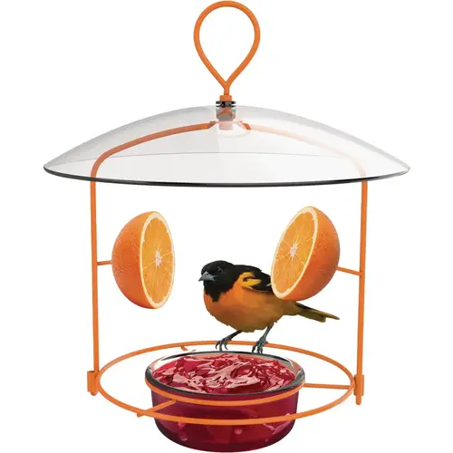 Wire Oriole Feeder Orange Wire Oriole Feeder Orange