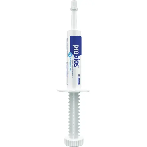 Probiocin 15ml Oral Gel Probiotic Dog & Cat Supplement Probiocin 15ml Oral Gel Probiotic Dog & Cat Supplement
