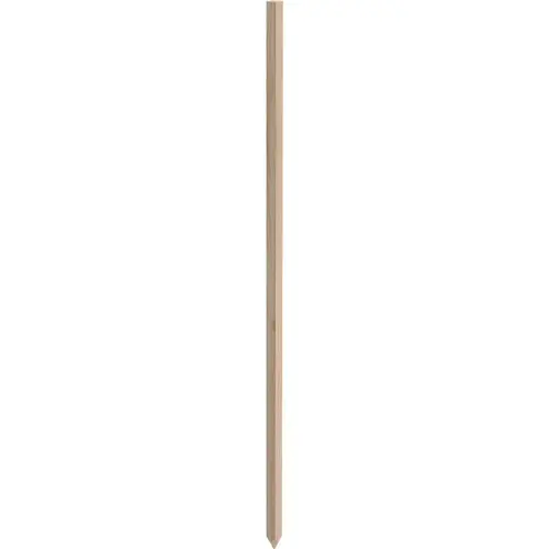 3 Ft. Wood Plant Stake 3 Ft. Wood Plant Stake